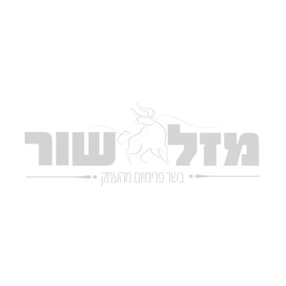 ממתין לתמונת מוצר
